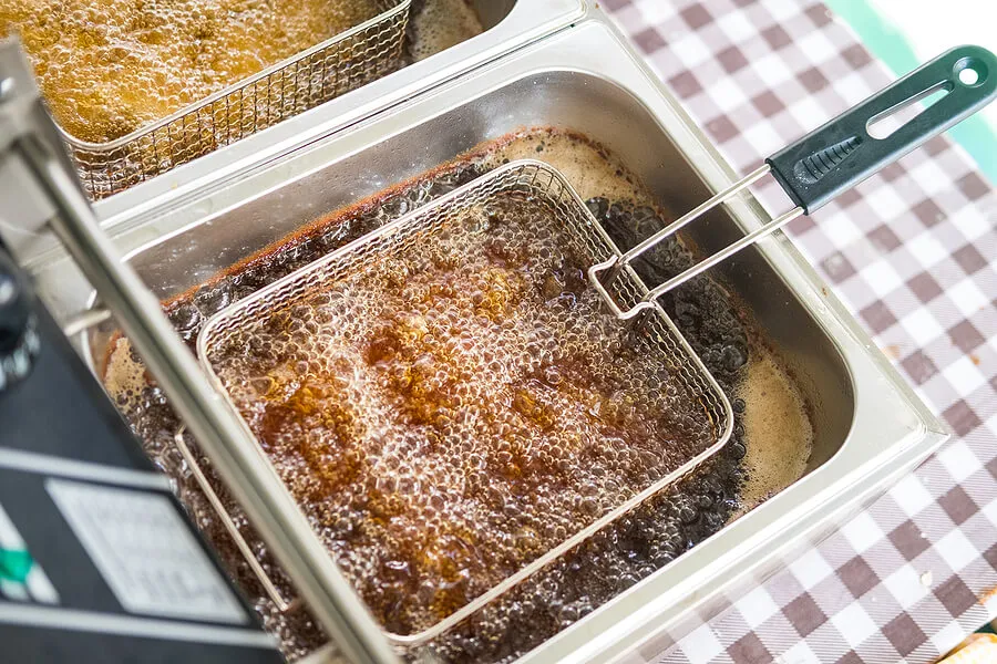 Fryer: Choosing, Using, and Maintaining