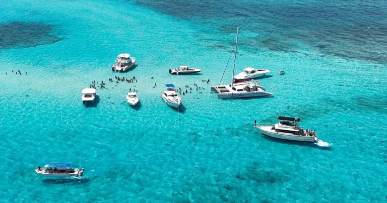 What to Expect on a Stingray City Tour in Grand Cayman
