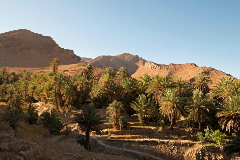 Luxury Morocco Tours in April: The Ultimate Guide to the Best Experiences