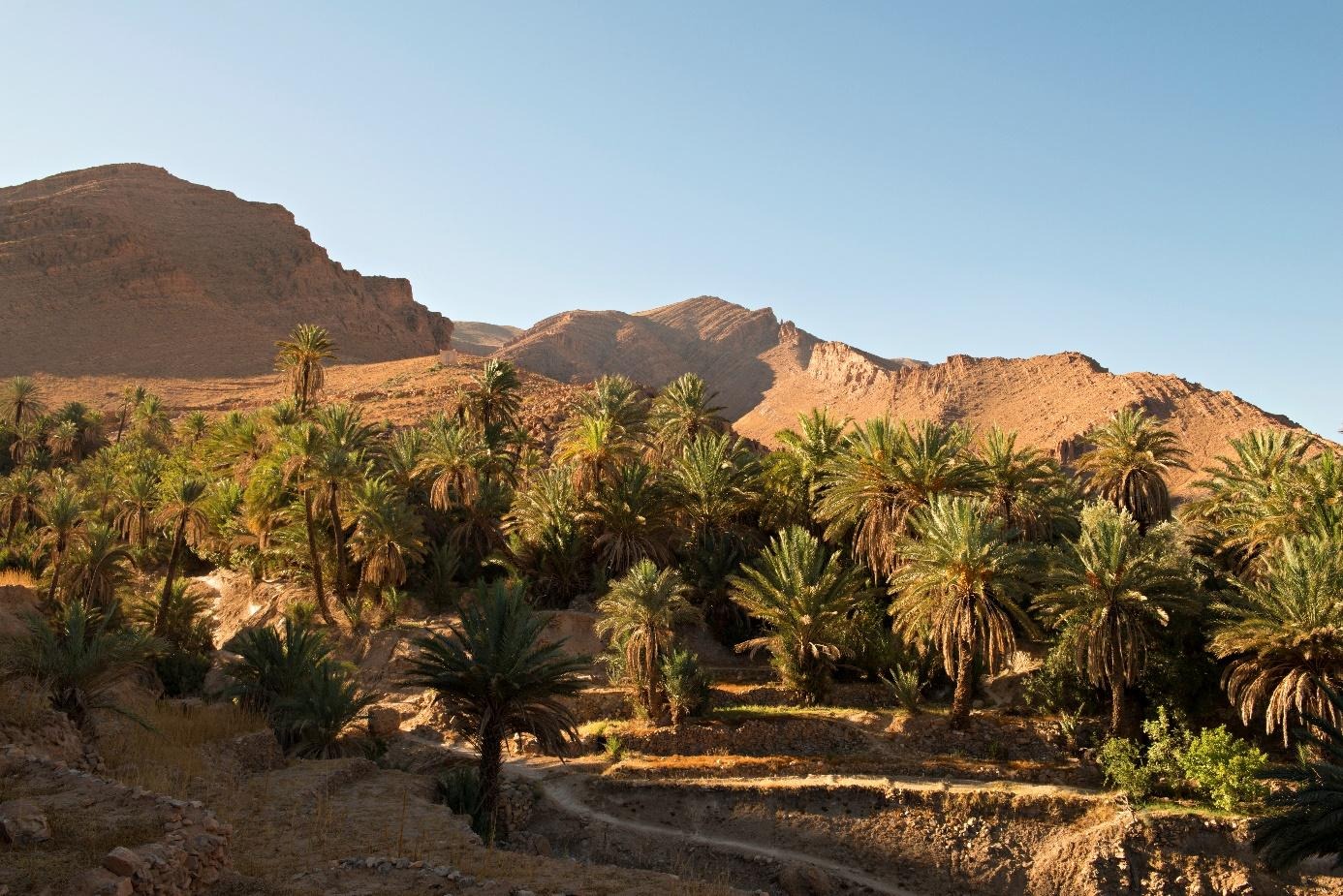 Luxury Morocco Tours in April: The Ultimate Guide to the Best Experiences