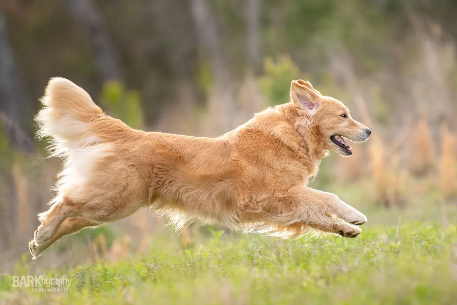 Valplekar: Meaning Origins Uses and Growing Relevance in the Modern Digital World