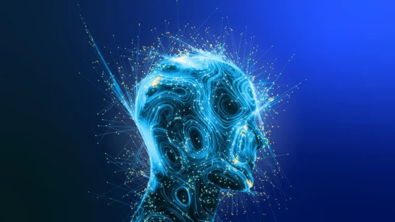 Nimedes: Meaning Concept Uses and Growing Digital Relevance