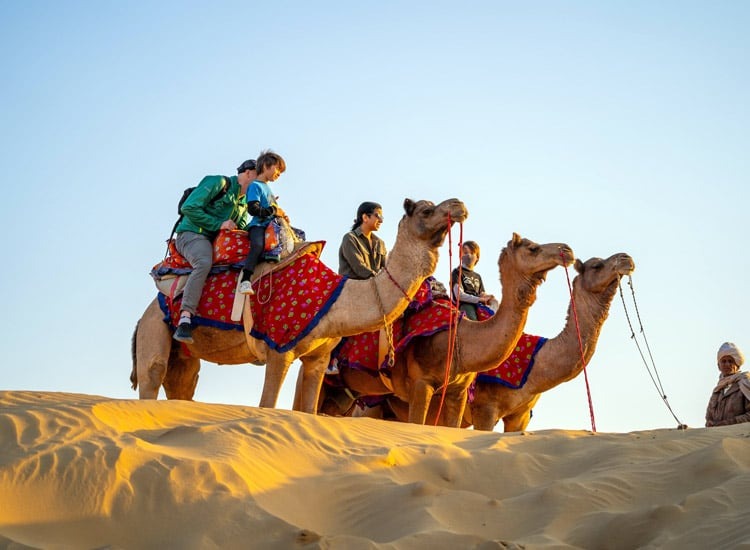 The Ultimate Guide to Jaisalmer Camel Safari Tours in the Golden Desert