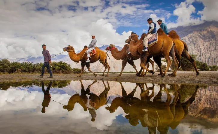 Camel Safari in Ladakh: Dunes Deserts and Double-Humped Camels