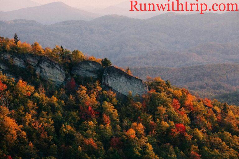 Quiet Escapes: Planning a Nature Stay That Works