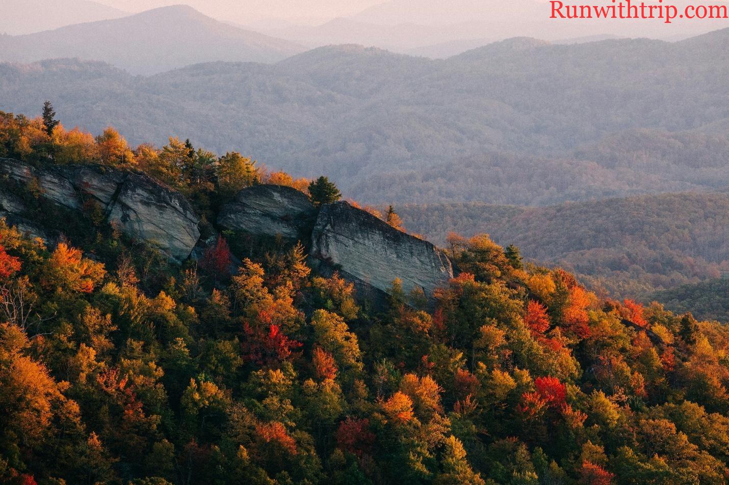 Quiet Escapes: Planning a Nature Stay That Works