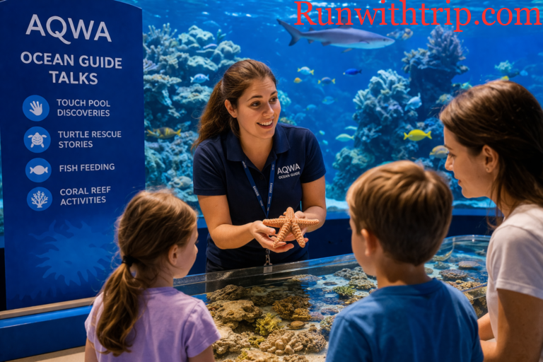 AQWA Ocean Guides: Unmissable Marine Talks and Interactions in Perth