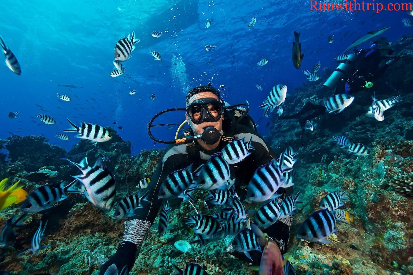Diving Fiji: Explore World-Class Underwater Adventures